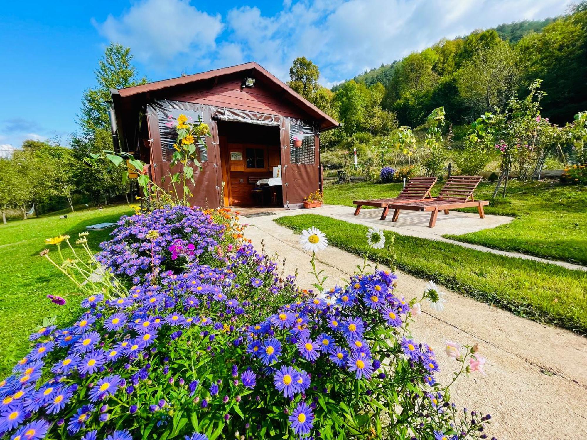 Cottage La Sierra With Jacuzzi Korenica Exteriör bild